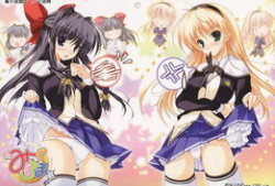 动漫后宫之旅,穿越动漫世界的浪漫冒险